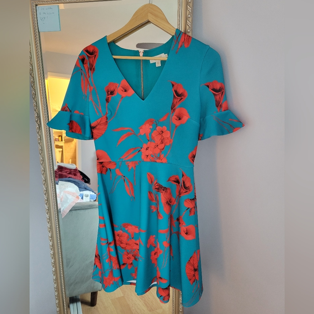 Ted Baker Size 2 Dress